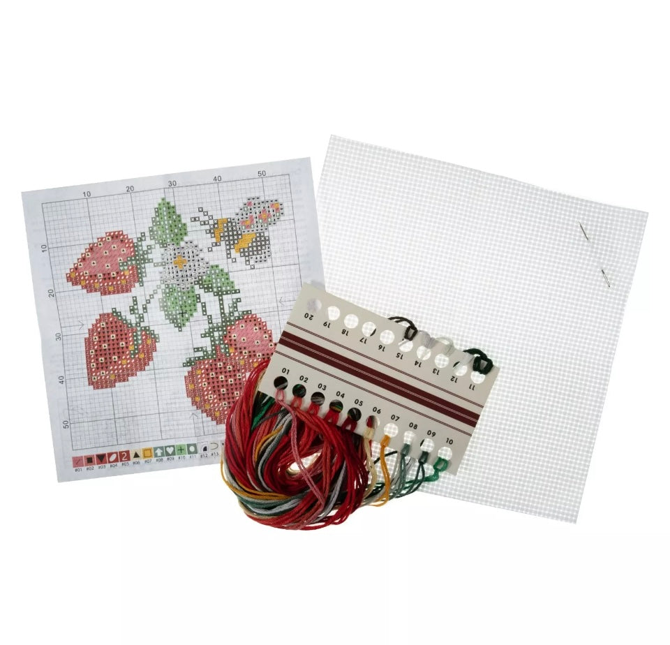 Counted Cross Stitch Kit Kits - Beautiful Designs - Fun Craft Gift- Bee and berries