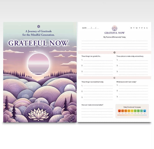 Daily Gratitude Journal 60 Days A4 The Diary Gift for Life Improved Happiness