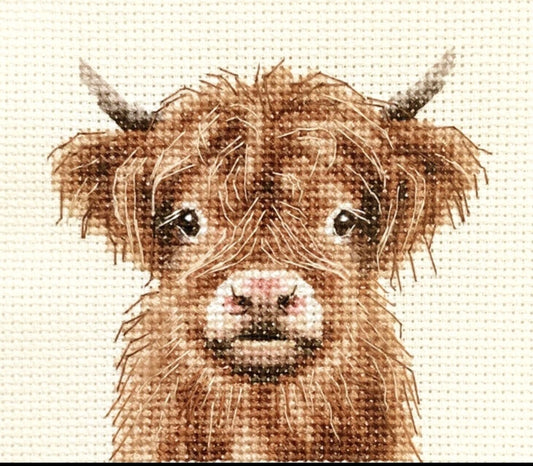 HIGHLAND COW CALF Full counted cross stitch kit,