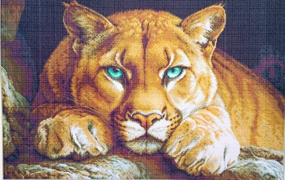 Soul Of The Wild - Unprinted 14 Count Cross Stitch Kit - Aida Size 62 x 44cm