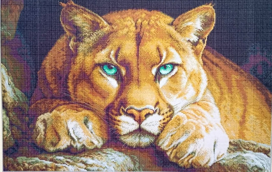 Soul Of The Wild - Unprinted 14 Count Cross Stitch Kit - Aida Size 62 x 44cm