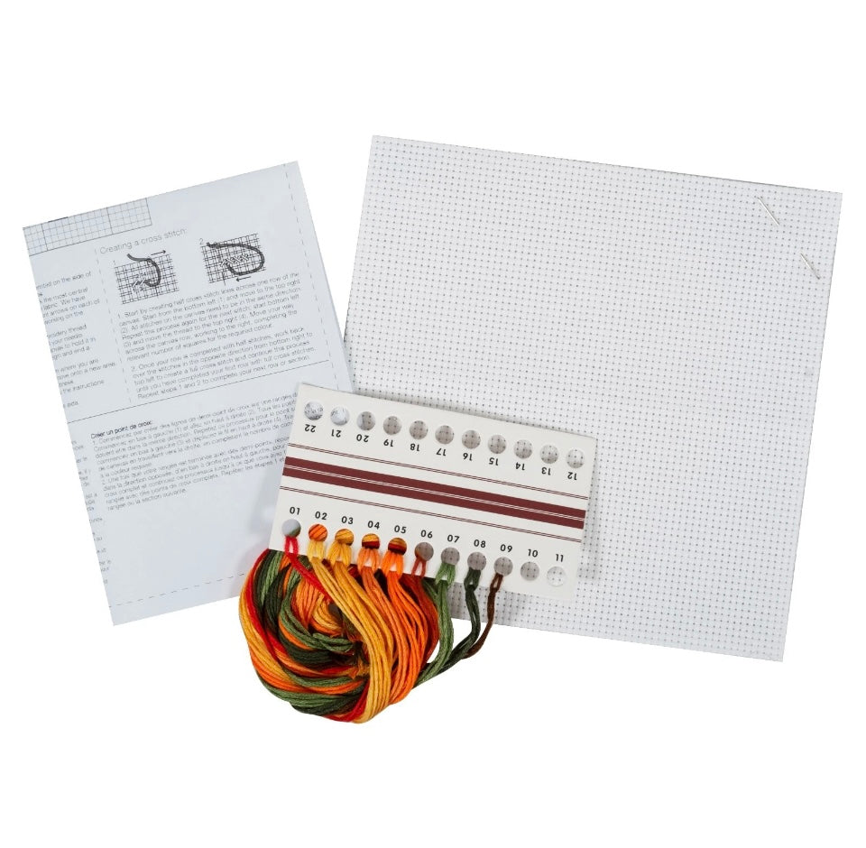 Counted Cross Stitch Kit Kits - Beautiful Designs - Fun Craft Gift- pumpkin